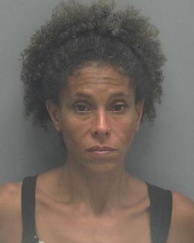 Amanda Lee White Mugshot