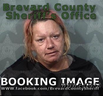 Amanda Dawn Wiggins Mugshot