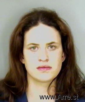 Amanda Elaine Williams Mugshot