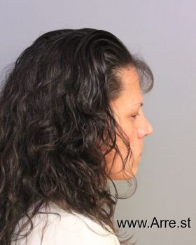 Amanda L Williams Mugshot