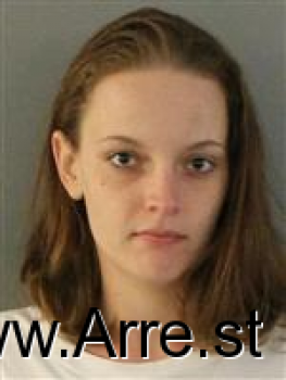 Amanda Renee Willis Mugshot