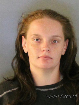 Amanda Renee Willis Mugshot