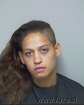 Amber L Alexander Mugshot