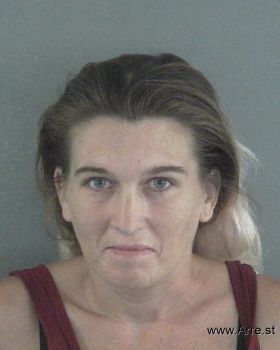 Amber Ann Olien Anderson Mugshot