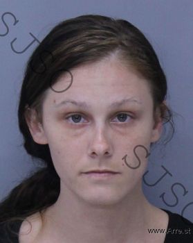 Amber Nicole Burkes Mugshot