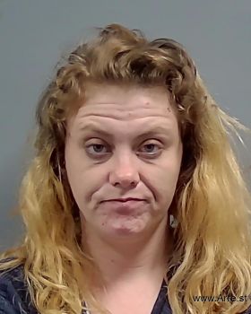 Amber Lee Merritt Mugshot