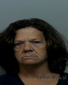 Amy Dee Adams Mugshot