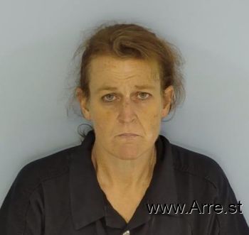 Amy Nicole Butler Mugshot