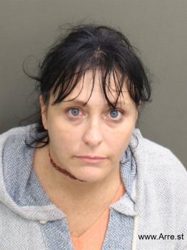 Amy Lynn Danielson Mugshot