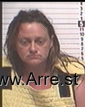 Amy Lyn Fox Mugshot