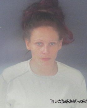 Amy Zierle Gray Mugshot