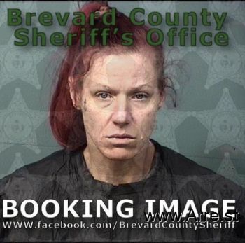 Amy Dee King Mugshot