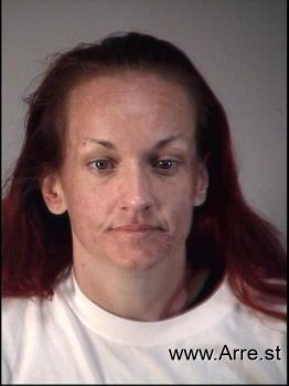 Amy Lynn Long Mugshot