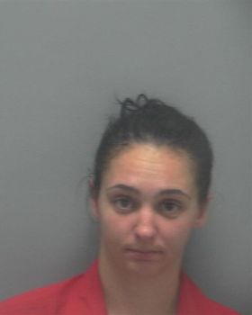 Amy Lee Mcgee Mugshot