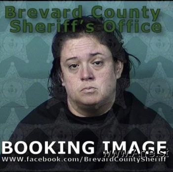 Amy Lynn Nelson Mugshot