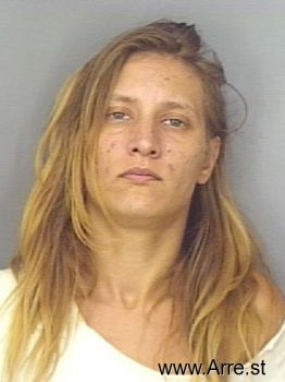 Amy Nicole Nelson Mugshot