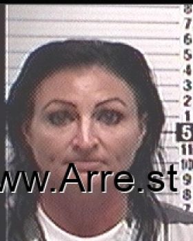 Amy Renee Woodard Mugshot