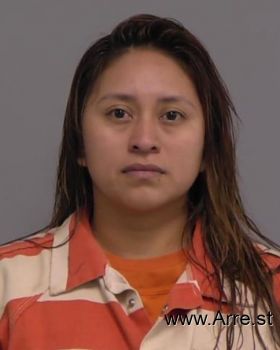 Ana Beatriz Galvez-campos Mugshot