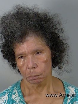 Ana Basilia Lopez Mugshot