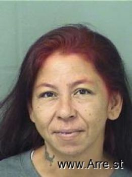 Andrea Dina Dominguez Mugshot