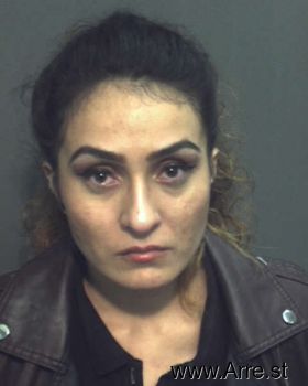 Andrea Lizeth Garcia Mugshot