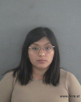 Andrea Lynn Robinson Mugshot