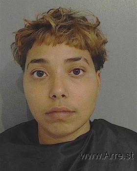 Andrea Lis Sanchez Mugshot