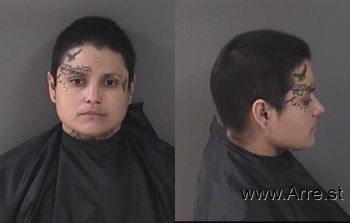 Andrea  Sanchez Mugshot