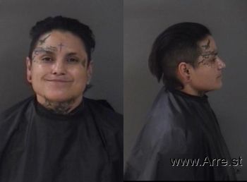 Andrea  Sanchez Mugshot