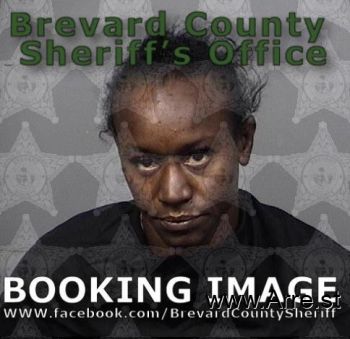 Andrea L Williams Mugshot