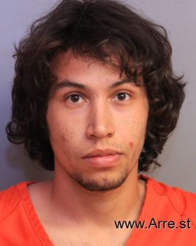 Andres Felipe Ramirez Mugshot