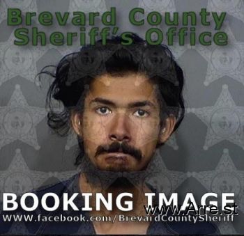 Andrew  Torres Mugshot