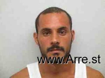 Angel Luis Pagan Mugshot