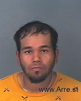 Angel Luis Reyes-pagan Mugshot