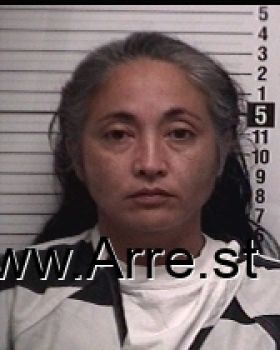 Angela Lee Cobb Mugshot