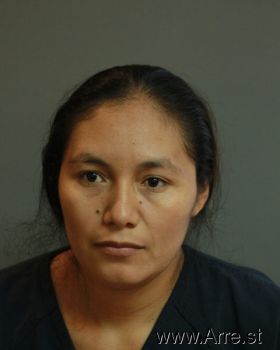 Angelica  Martinez-cruz Mugshot