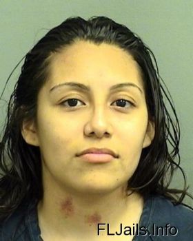 Angelica  Rosales Mugshot