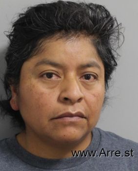 Angelica  Santiago Mugshot