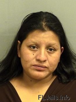 Angelina  Ortizlopez Mugshot