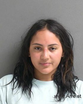 Angelise Rose Alvarez Mugshot