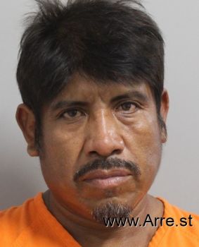 Angeluz  Salas-rivera Mugshot