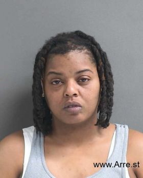 Anna Nicole Burks Mugshot