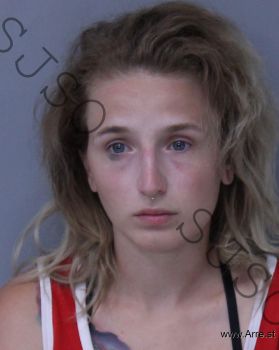 Anne Maria Pitts Mugshot