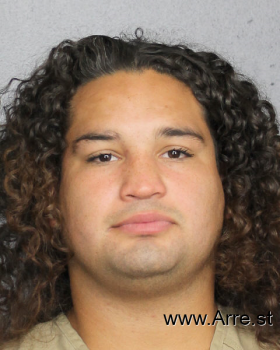 Anthony Alexander Castellon Mugshot