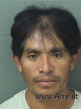 Anthony  Moraleschavez Mugshot