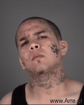 Anthony  Sanchez Mugshot