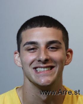 Anthony  Vanelli Mugshot