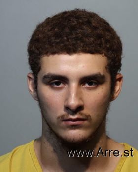 Anthony  Vanelli Mugshot