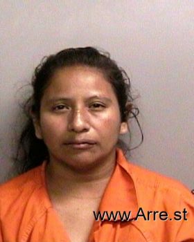 Antonio Nicolas, Juana Antonionicolas Mugshot