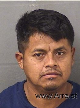 Antonio  Morales Mugshot